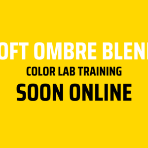 SOFT OMBRE BLEND